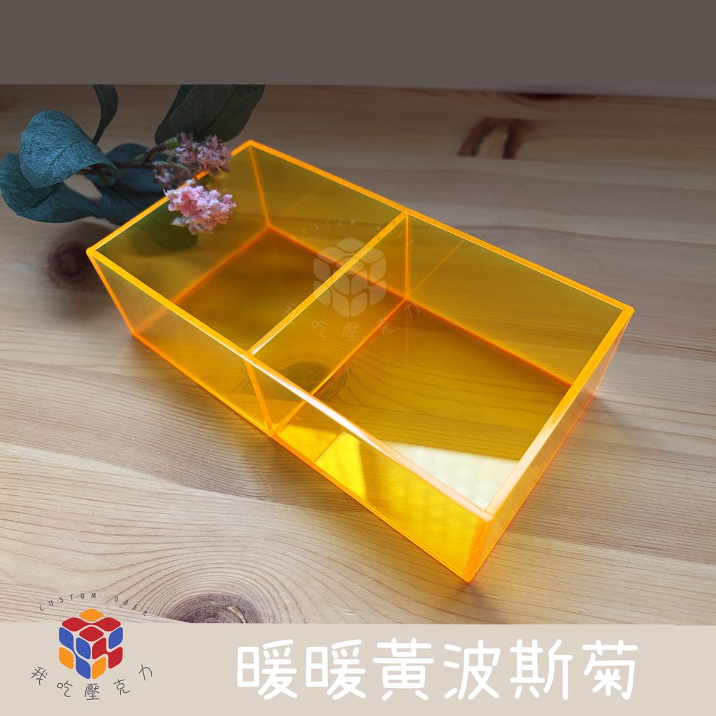 暖暖波斯菊