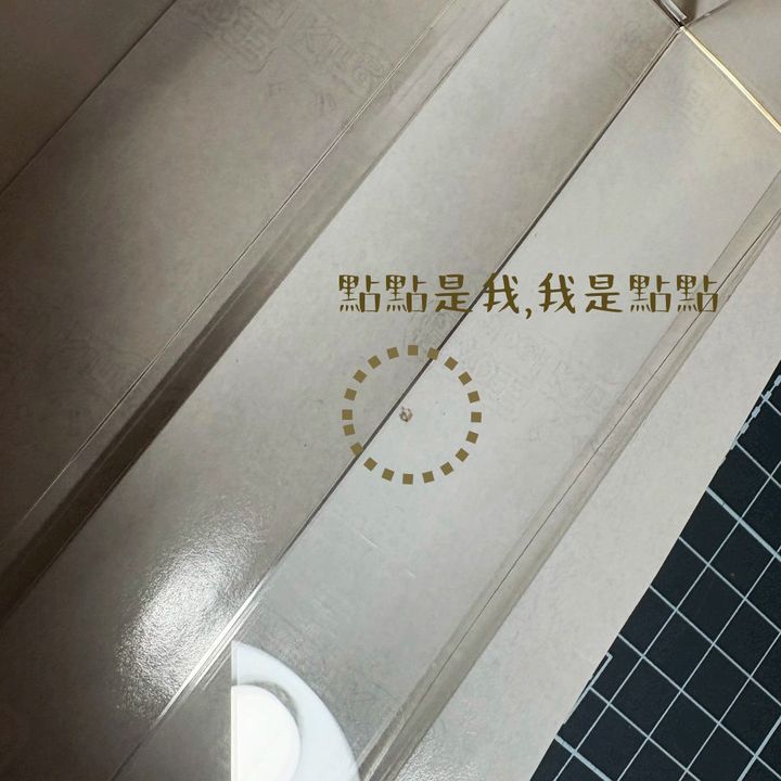 瑕疵品出清 鈔票盒3大4小1