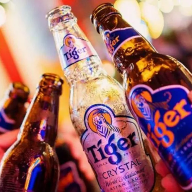 Party Bottles |  - 