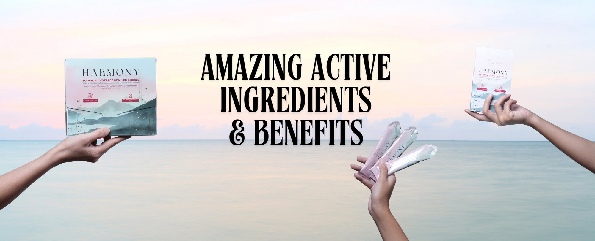  | THE JIWA GROUP | Natural Wellness Solutions for a Balanced Life