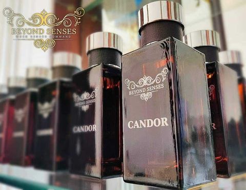 candor