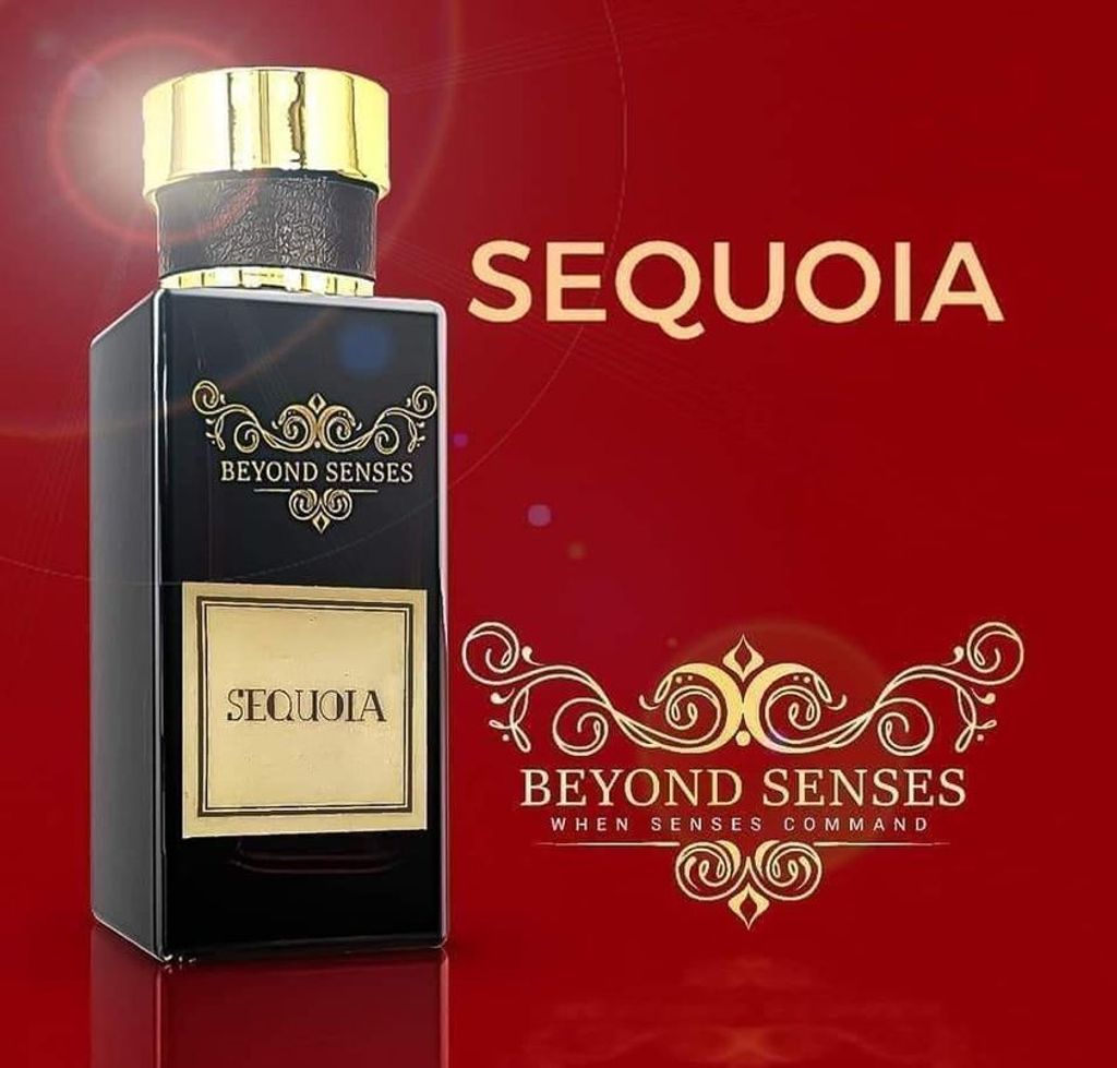 Sequoia