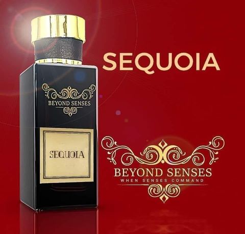 Sequoia