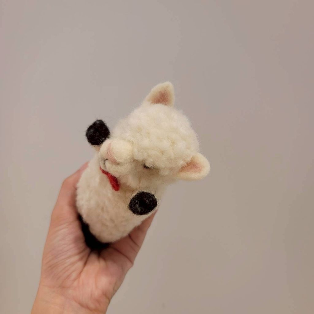 LINE_ALBUM_20258_250818_4