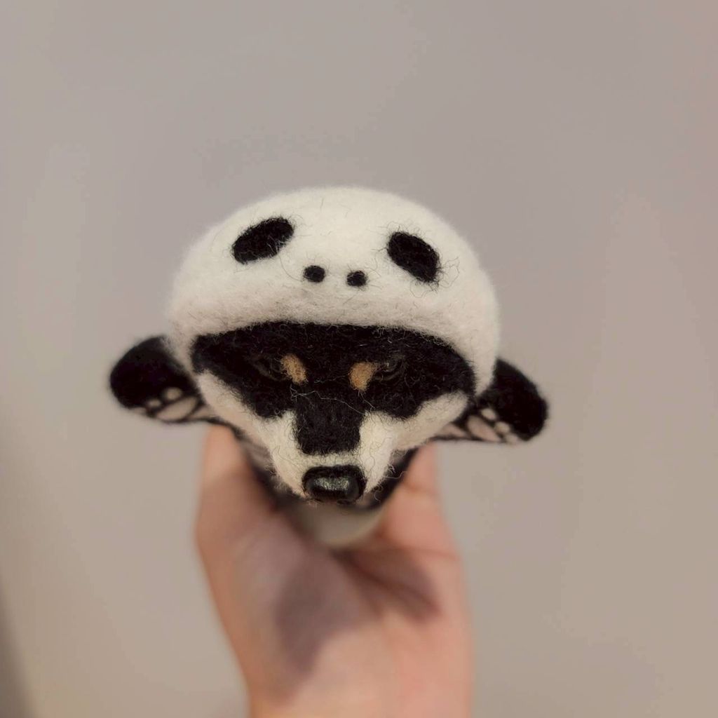 image_2FB0FF12-5C15-44F3-A050-AF339011177E_1760262727