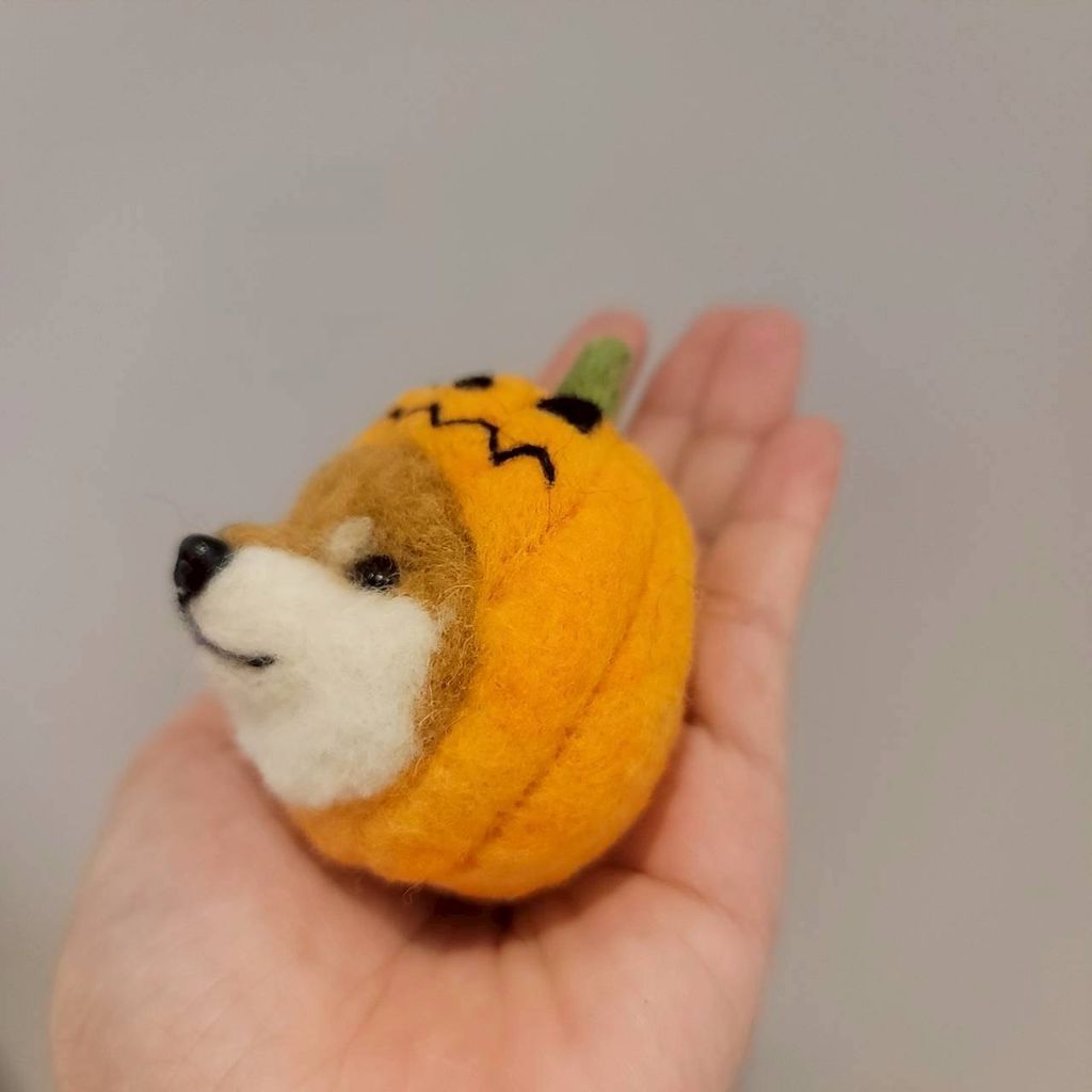 image_74C428F2-02E2-48E4-8403-6F3C225755D9_1760274635