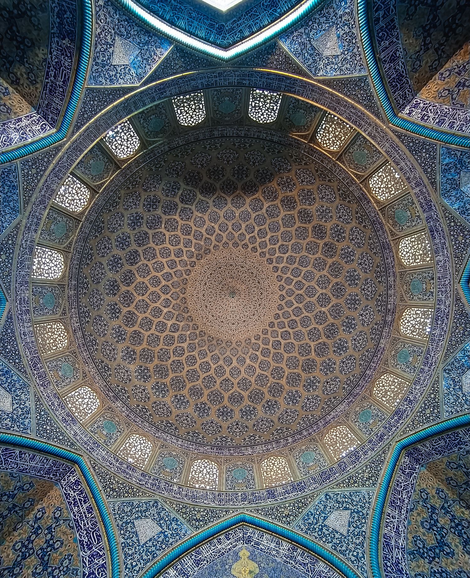 https://cdn.store-assets.com/s/1324882/f/11903773.jpg