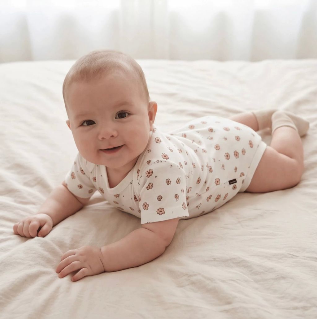 image_690E54F9-8182-44B4-A3D6-649206935892_1771775221