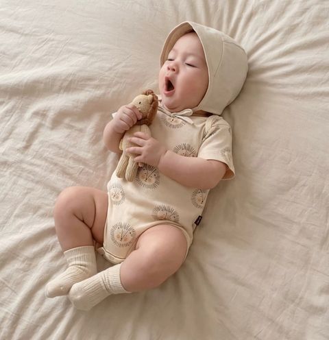 image_89E70286-8FF6-4A16-A8A1-0F44FAABC4DF_1771775221