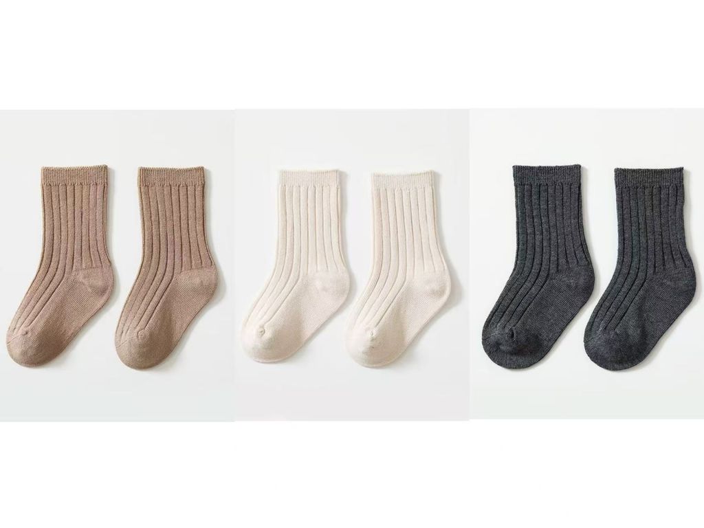 圖片_20260224010808_161_5