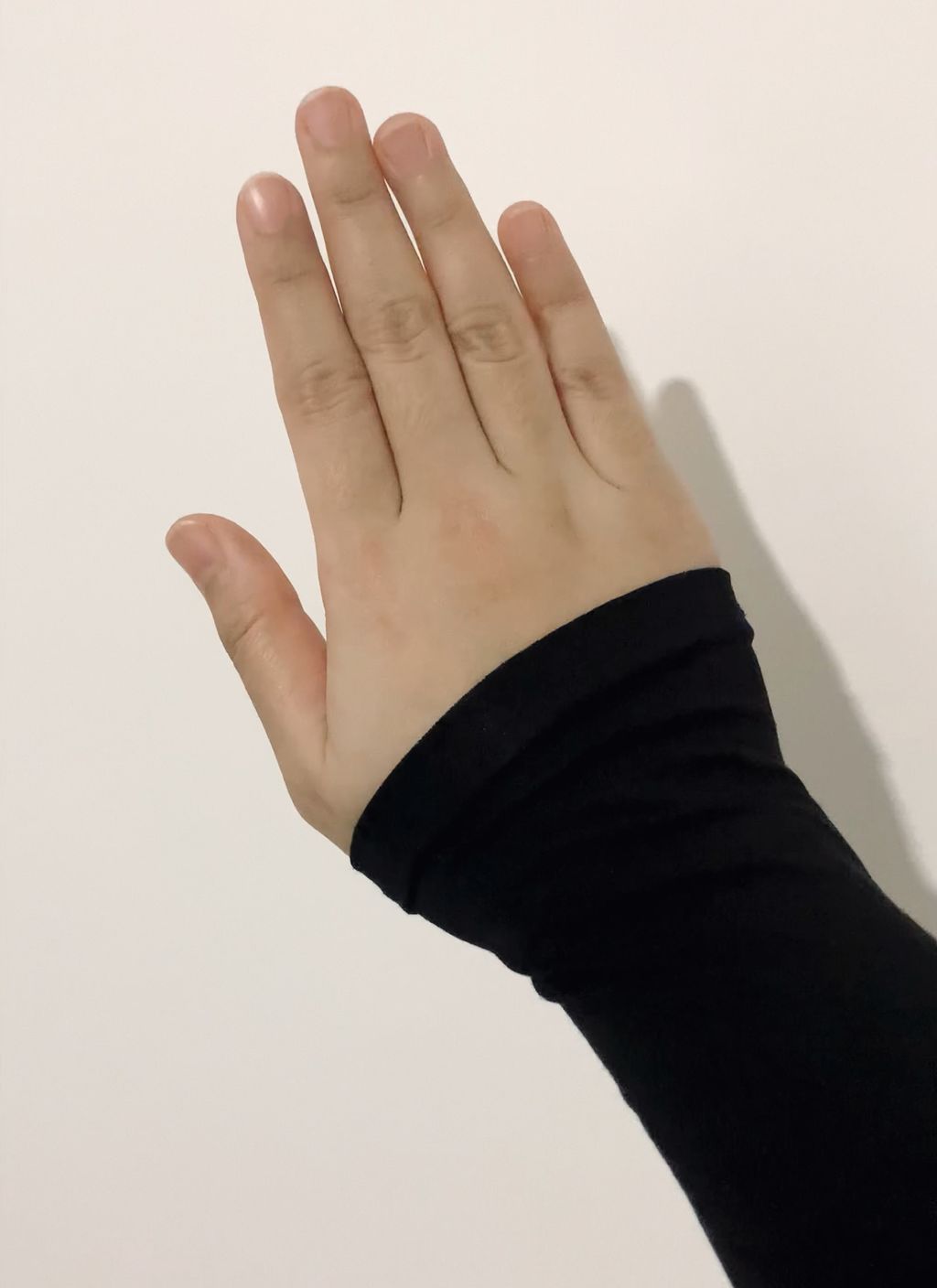 IMG_8662-1703814140619