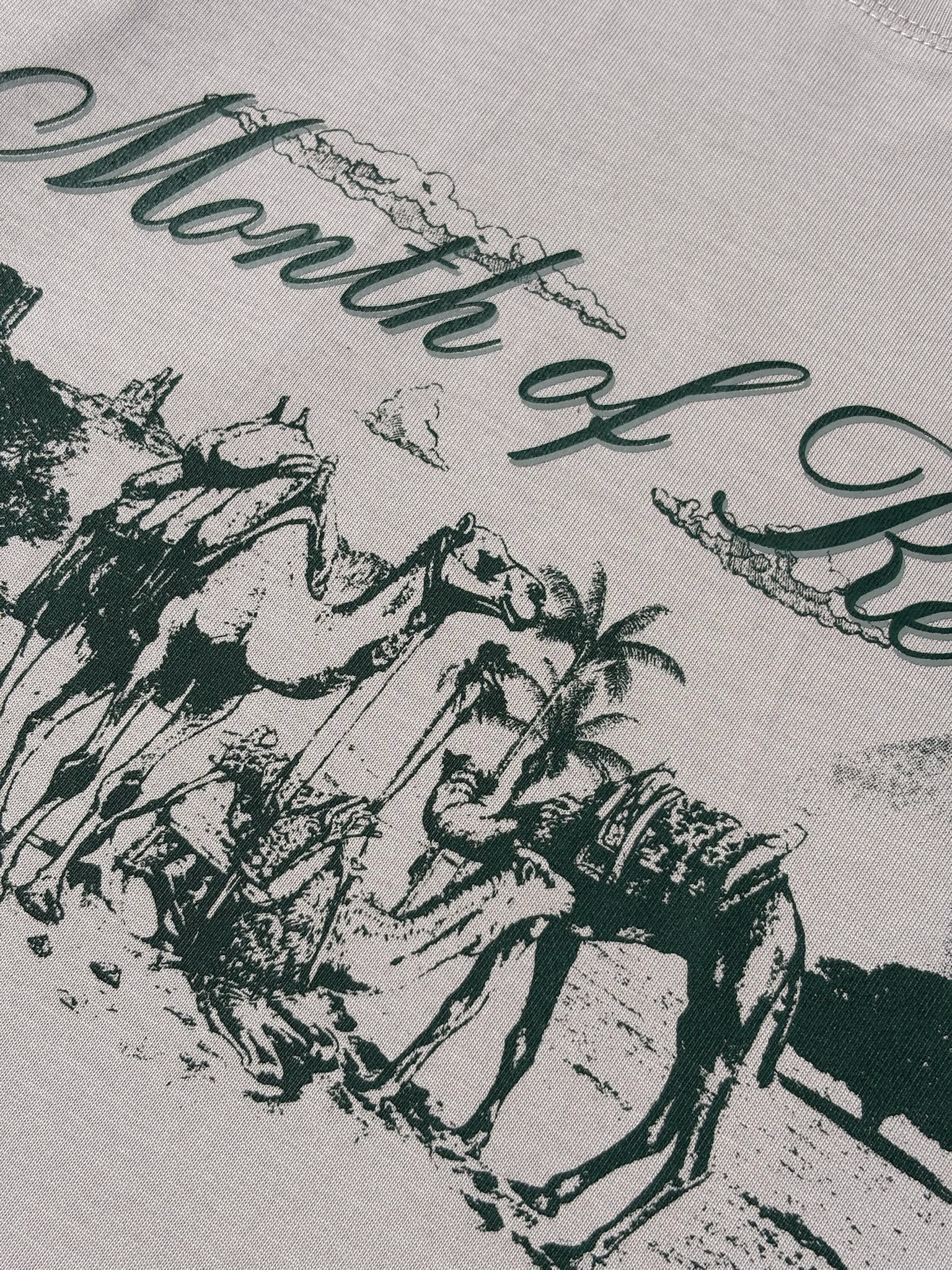 image_3368FCB2-750A-4214-AA3E-A78C0958780C_1773051452