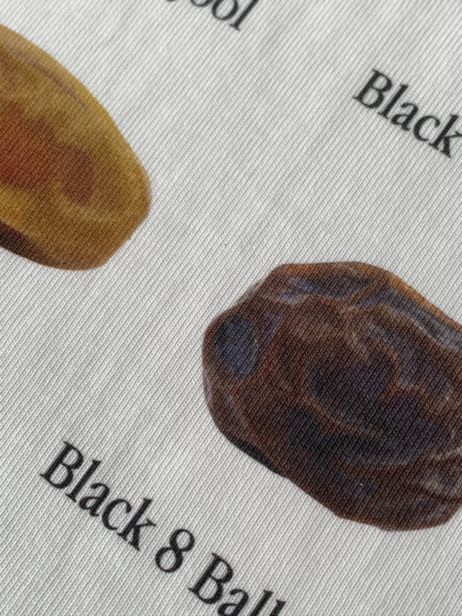 image_EDEEC6EC-9102-45AB-8314-D314D16D04F5_1744331636