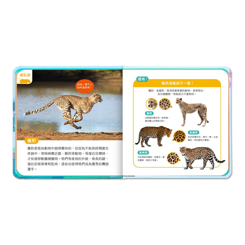 85fc2c6386c9debb3e761541fdcb0f69