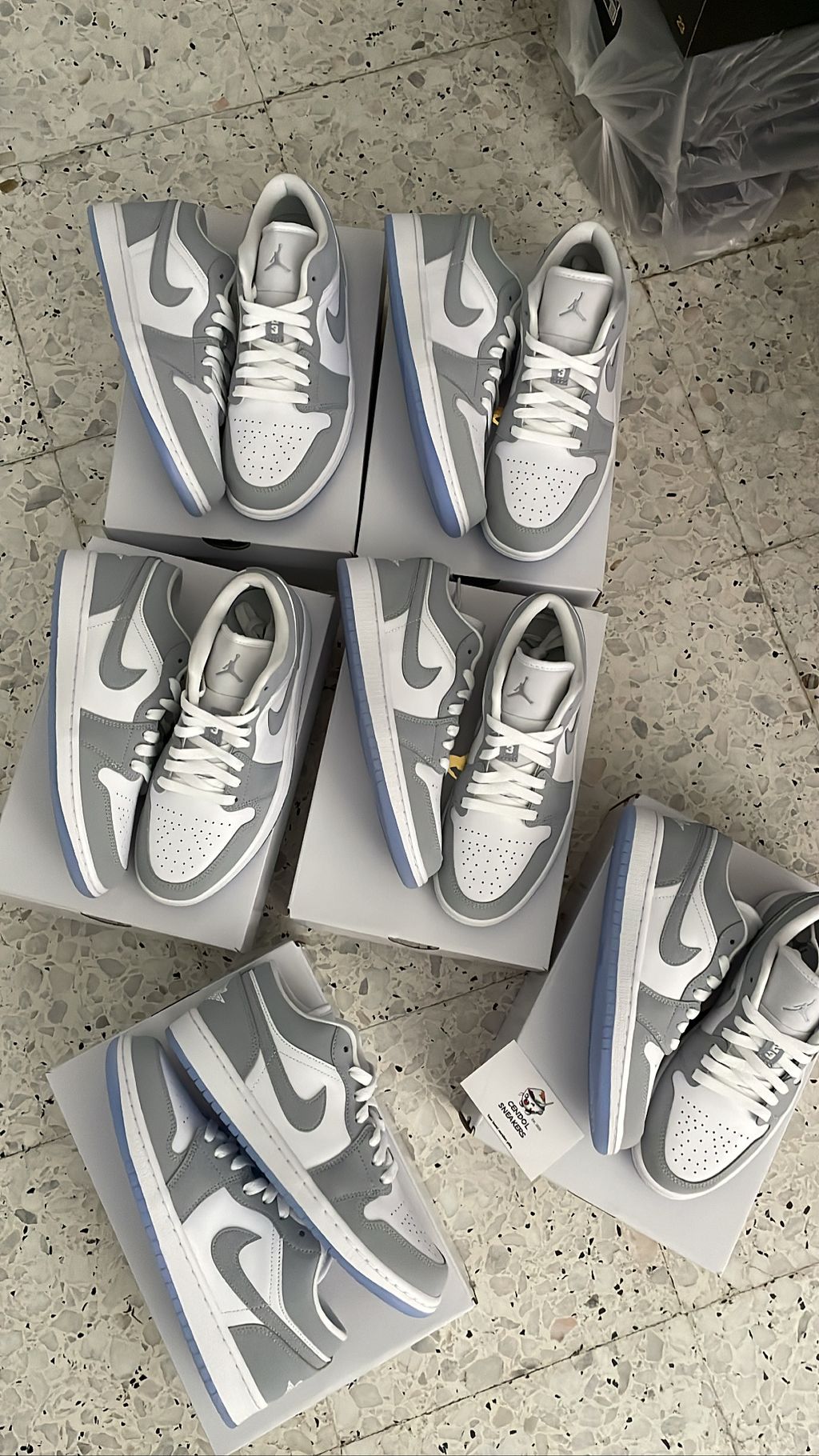 wolf grey 4