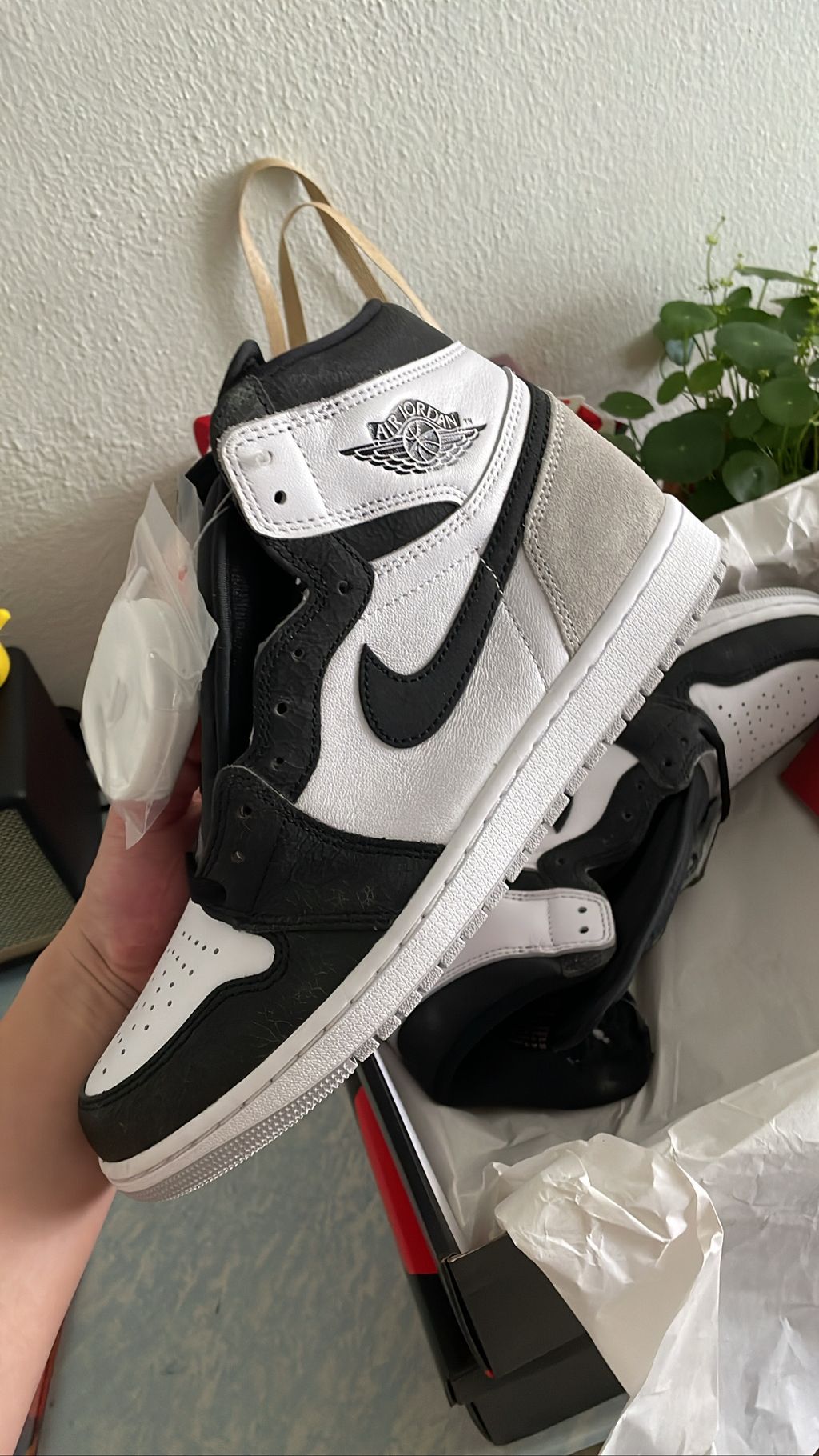 F08E3200-19F0-45DF-BCB9-0969260B5AC4