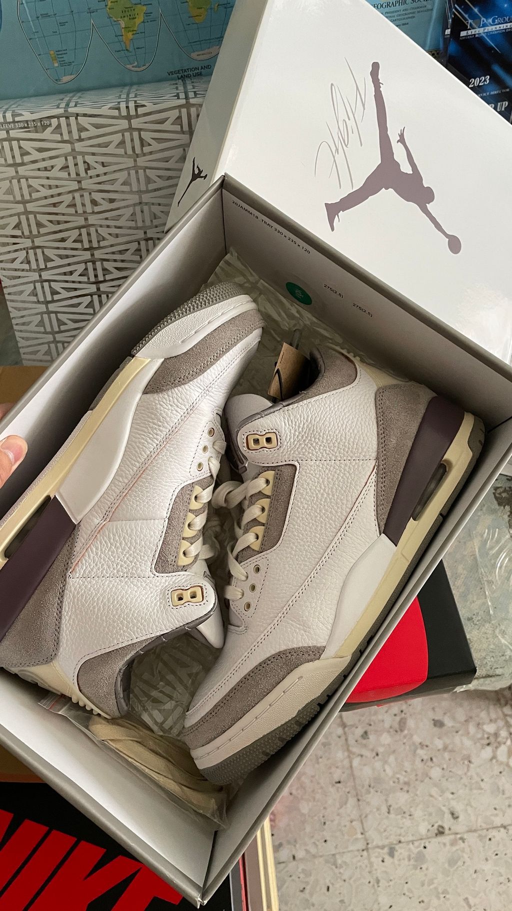 IMG_8423-1710917586725