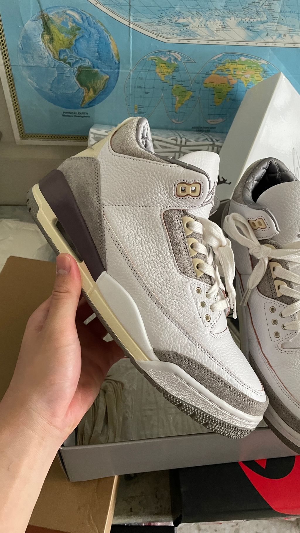 IMG_8425-1710917586774