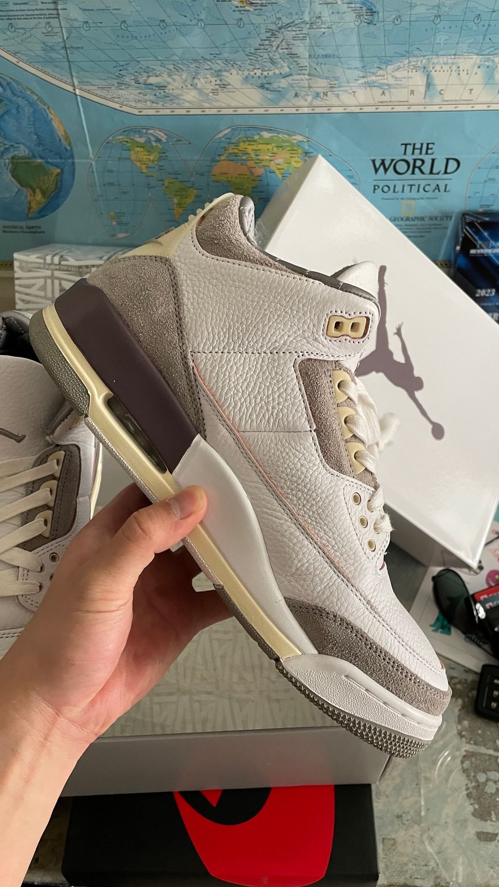 IMG_8428-1710917586887