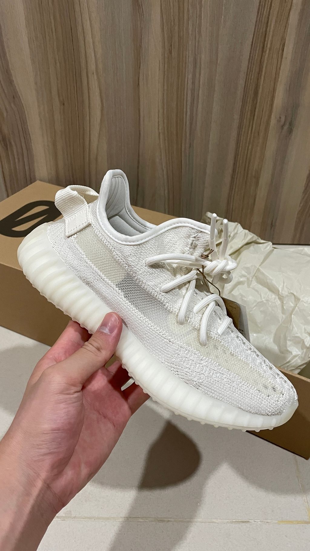 image_7CF03056-53CA-4BCA-BEEC-5A5DFA4FA061_1766810449