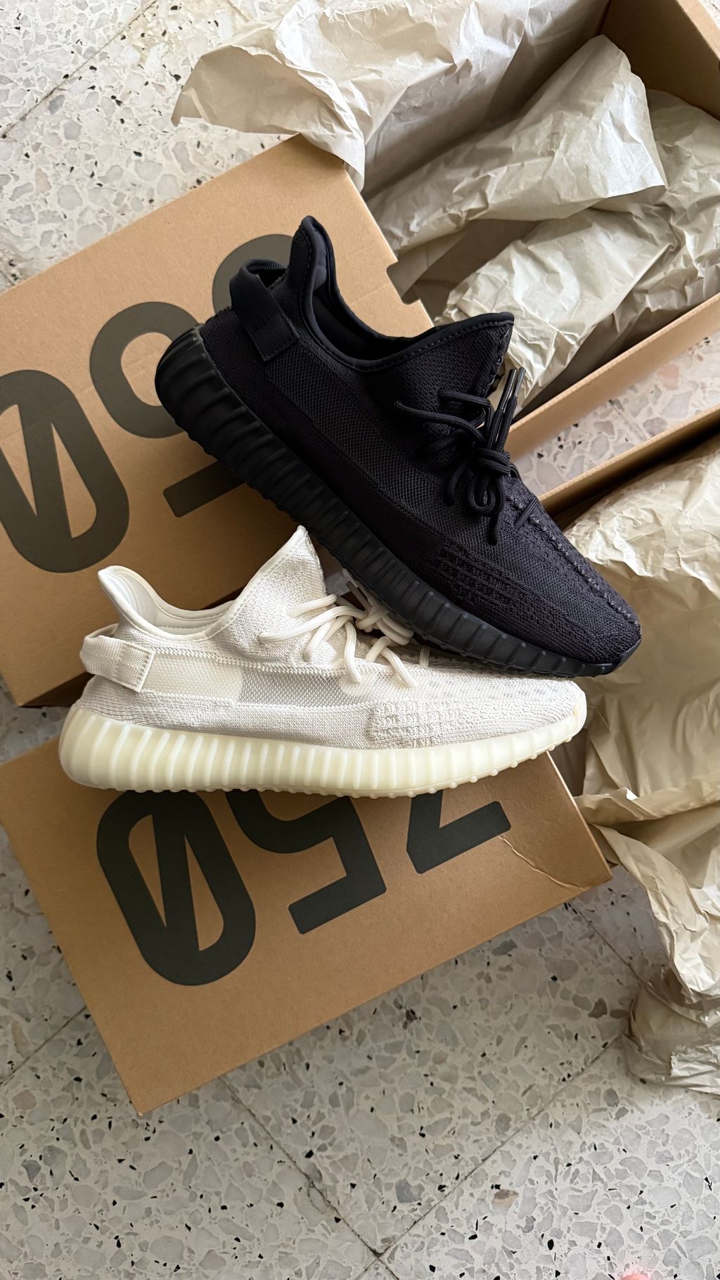 image_D07346C8-94C5-4769-ADEA-1D423D2A8EFB_1766970221