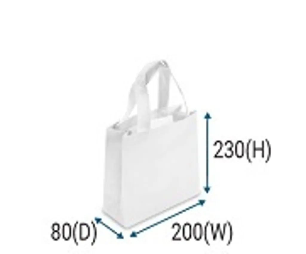 WN-B5 Non-woven Bag