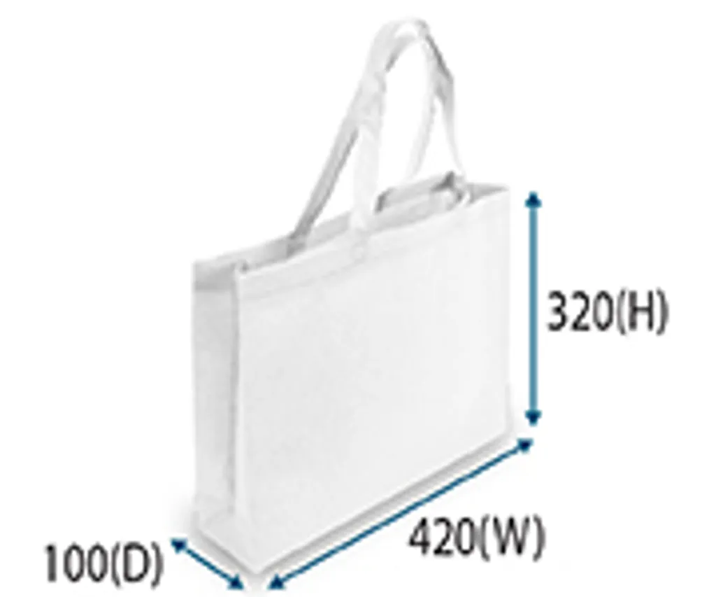 WS-A3L Non-woven Bag