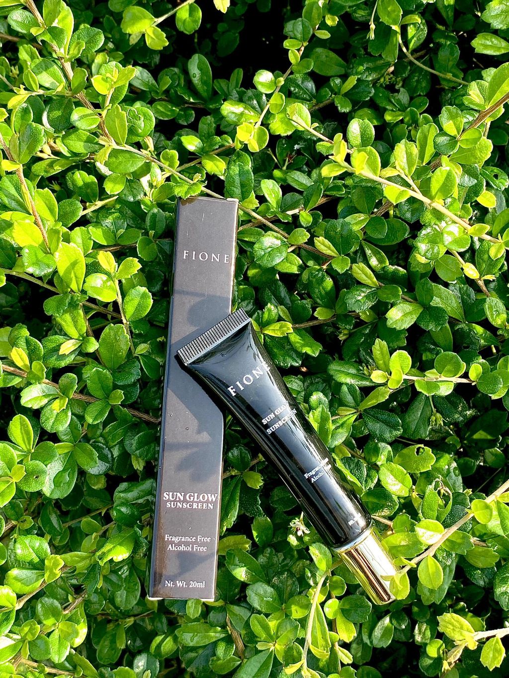 WhatsApp Image 2023-09-20 at 12.18.46 PM