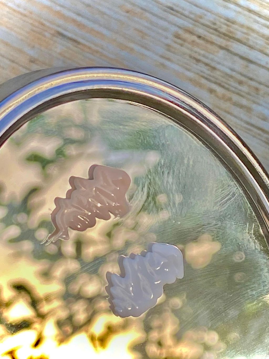 WhatsApp Image 2023-09-20 at 12.18.44 PM (1)