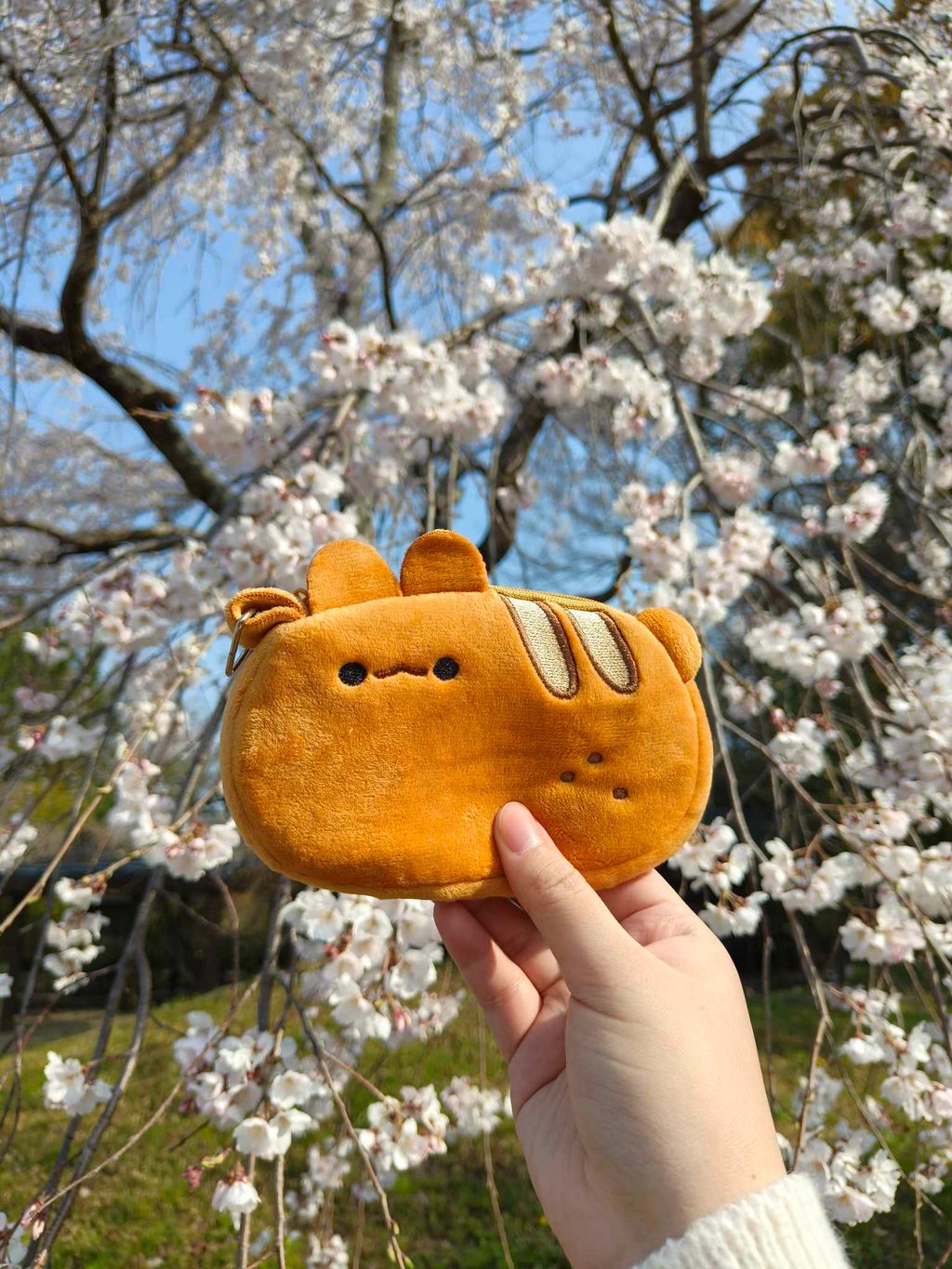 438083823_460931836469440_6686449109676274652_n