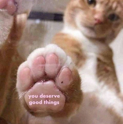 received_462573511061722