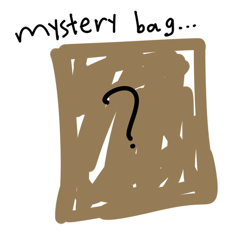 mysterbag