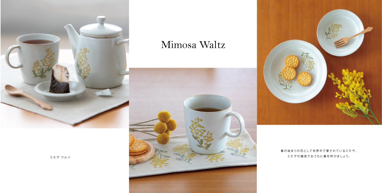 Mimosa-Waltz-shopline01