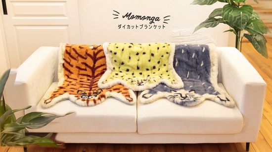  | DOU DOU HOUSE。豆屋