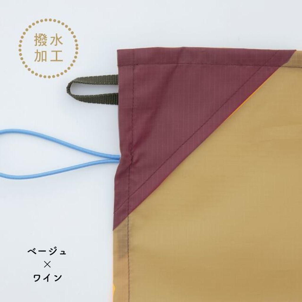 0035ztt09_05-ML