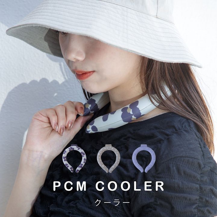 PCM001-1