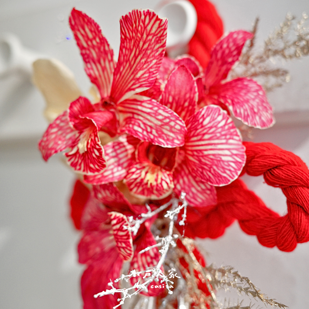 春蘭報喜｜乾燥石斛蘭迎春結4