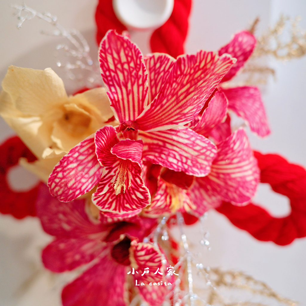 春蘭報喜｜乾燥石斛蘭迎春結3