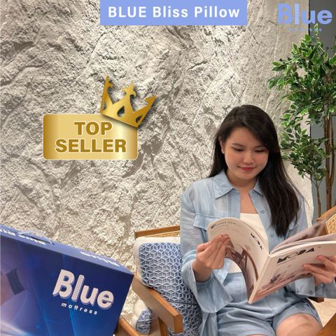 Blue Bliss Pillow-26