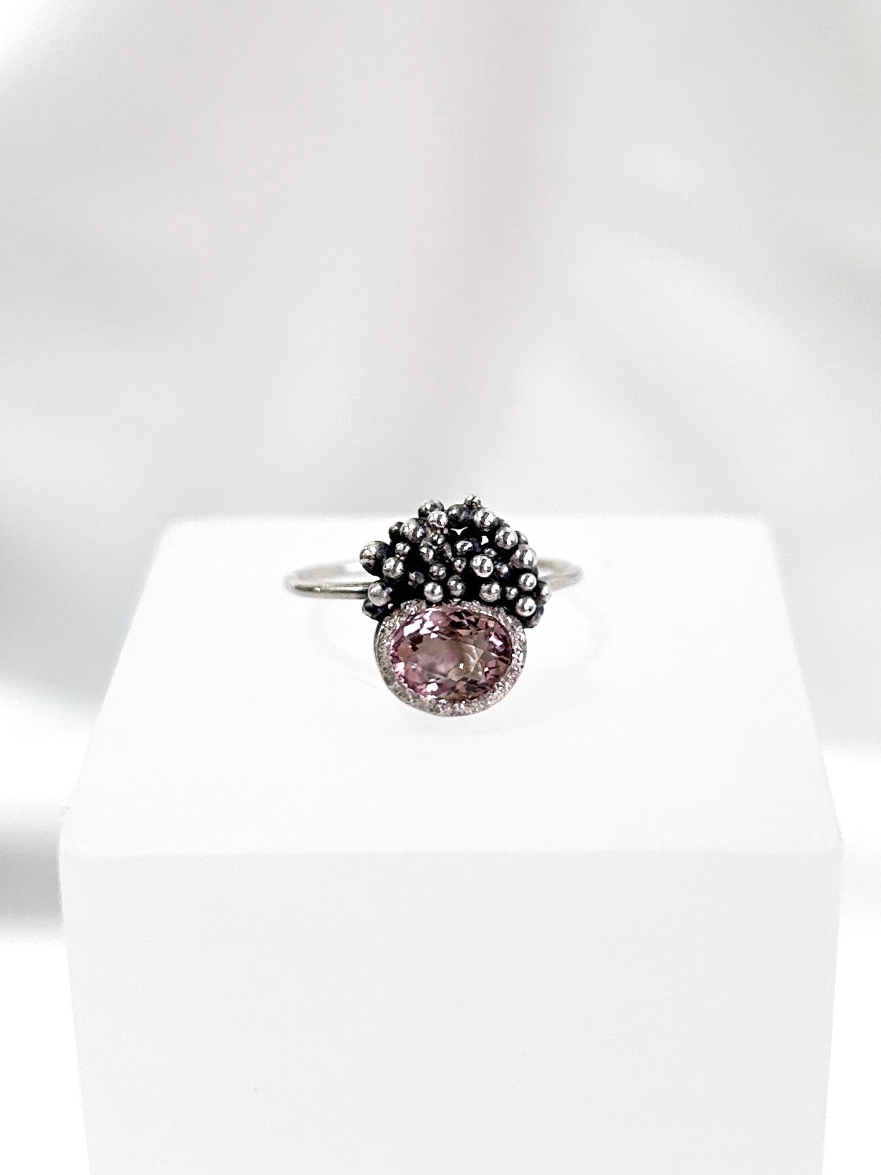 image_F4A2C27F-A435-4C3C-8449-CC6CC6C94DC0_1770044441