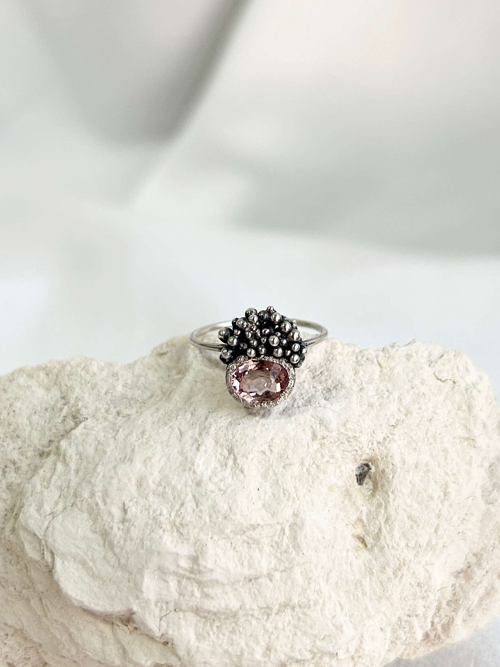 image_E443BEB1-801D-49FC-8BCB-401184E4E884_1770044441