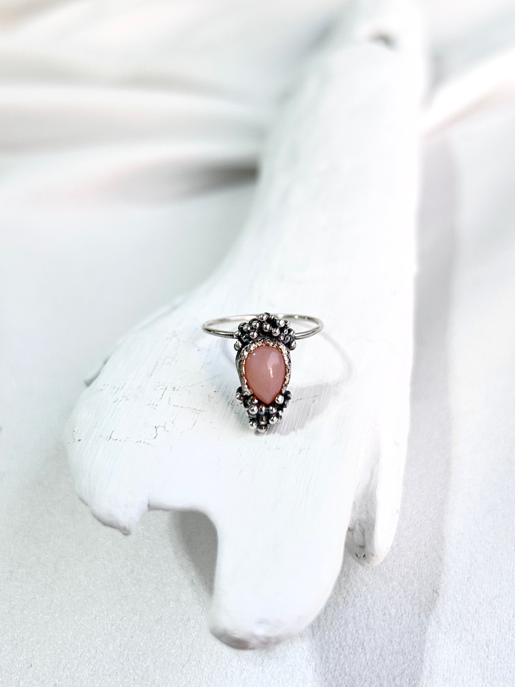 image_634E15AD-2FAA-495F-AEBC-18F43EBBE4FA_1770044715