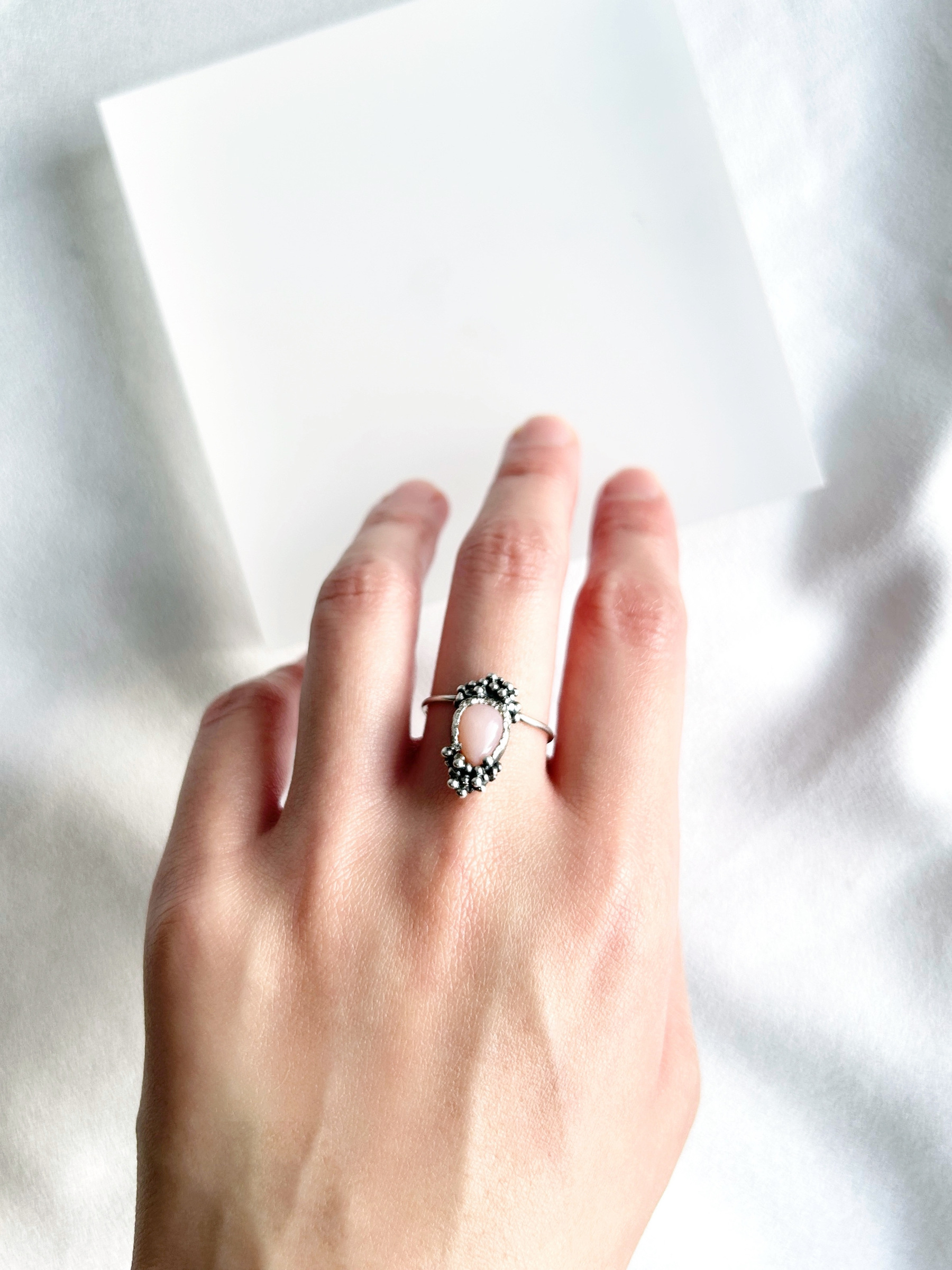 image_1922DD84-8C93-431F-8724-61F0A8FFCD29_1770044715