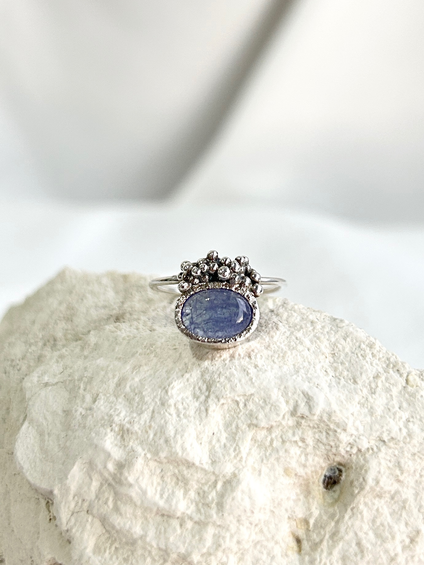 image_5E06386E-BED9-4F40-B966-EE6E2E773323_1770045232