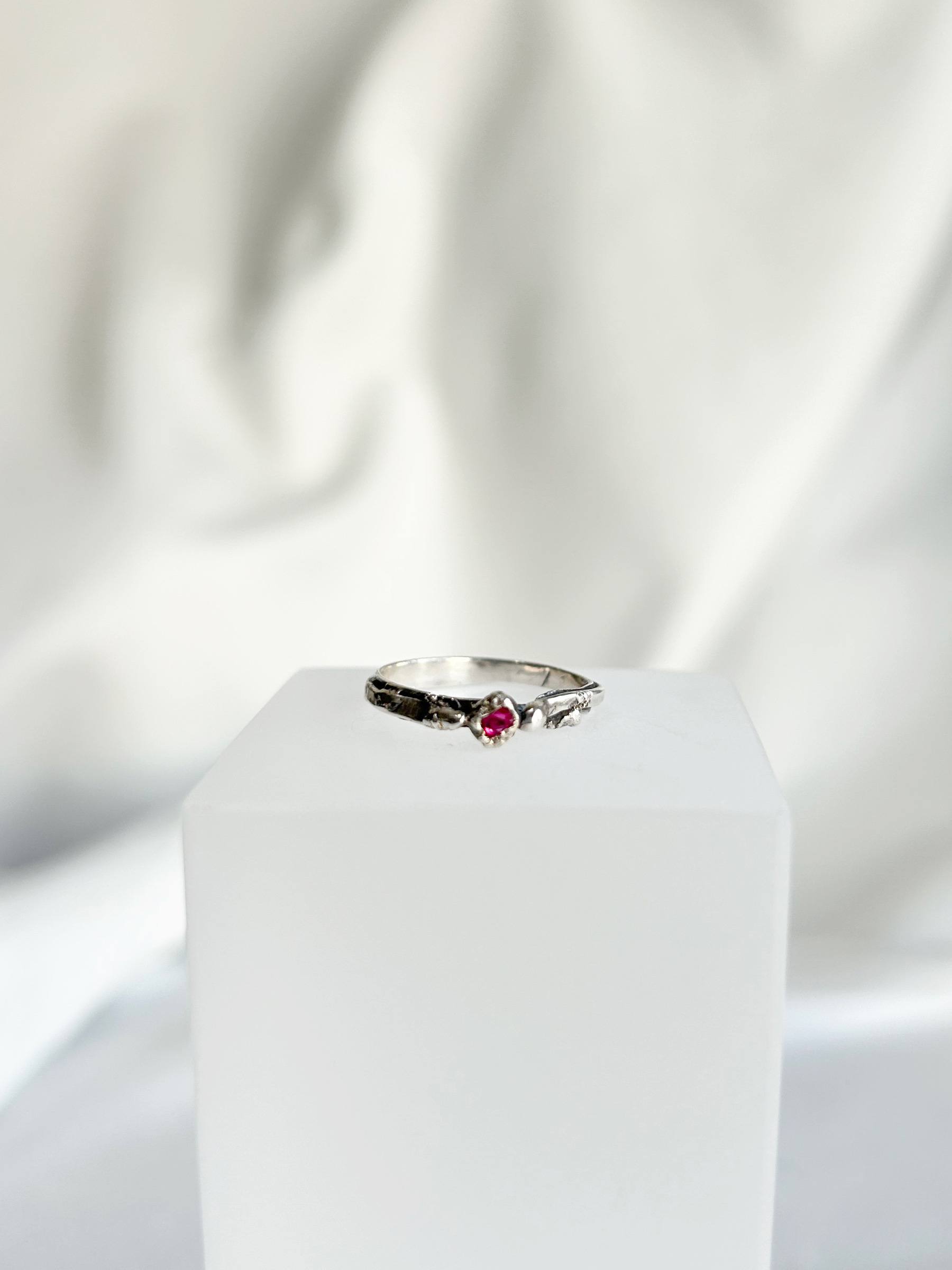 image_689639F1-133D-41AB-ACEE-F78CF828A40A_1770045384