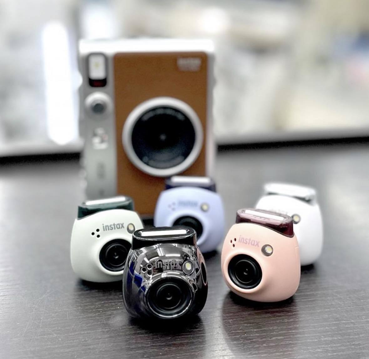 384798213_230216043068292_8292763071168511232_n