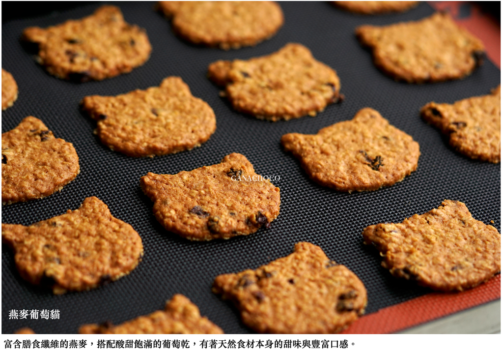 燕麥葡萄貓