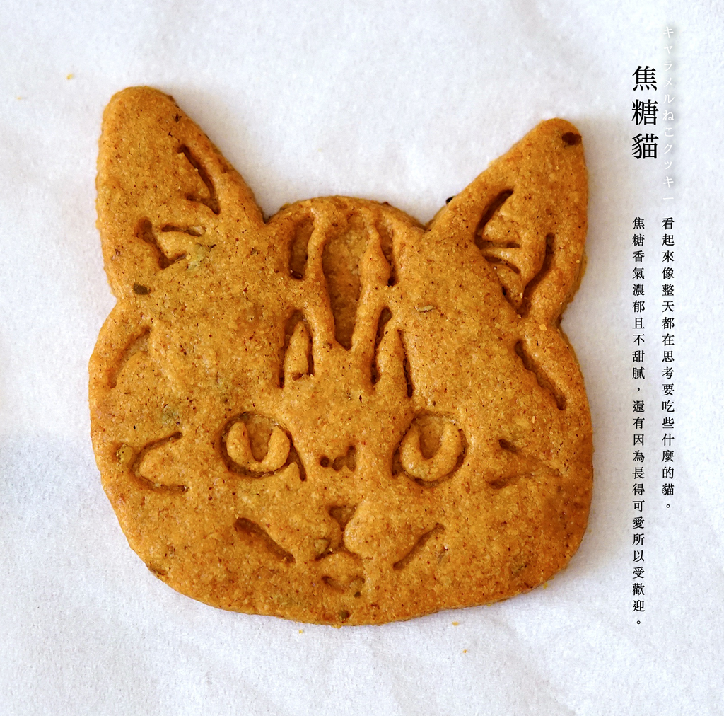 焦糖貓