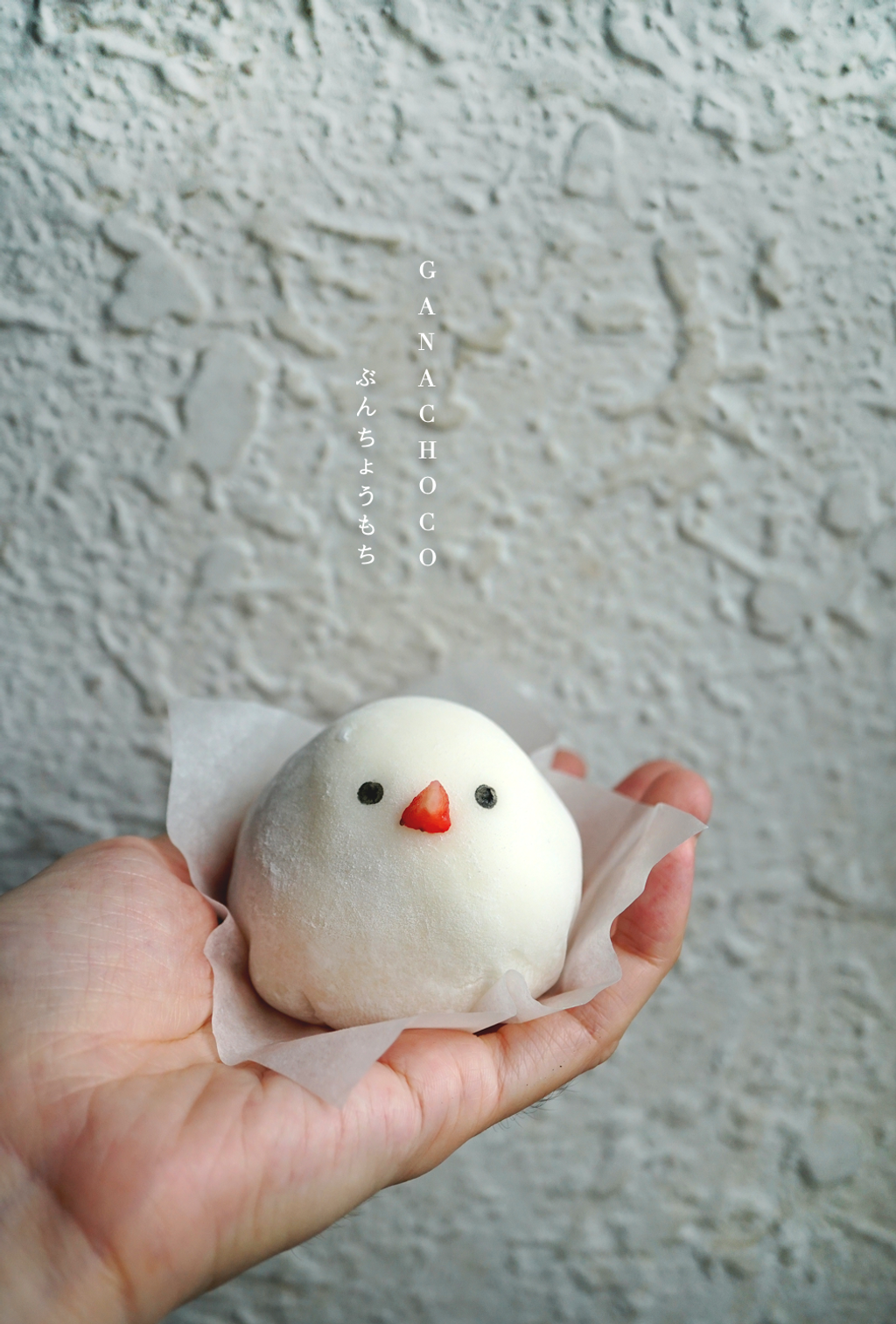 ぶんちょうもち5