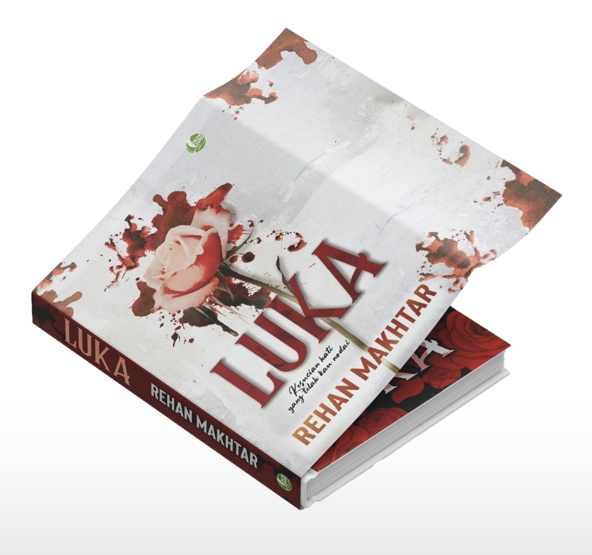 image_C248B733-063F-41C7-A634-D5EAAF9F2547_1764242945